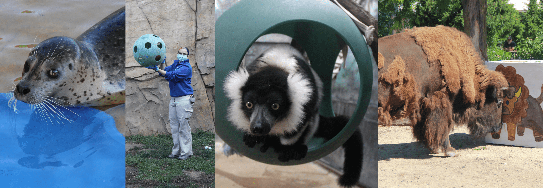 GIVING TUESDAY - Henry Vilas Zoo