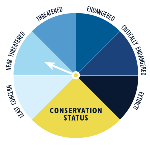 Near threatened graphic