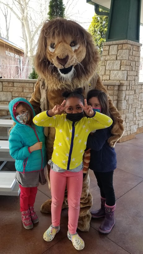 Henry The Lion & Handler - Henry Vilas Zoo