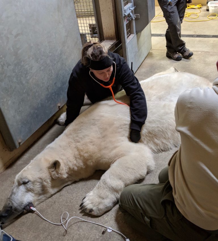 About Us Henry Vilas Zoo