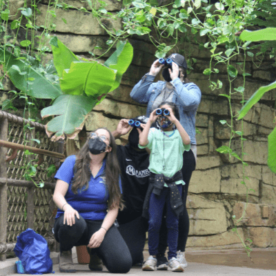 A family looks through binoculars