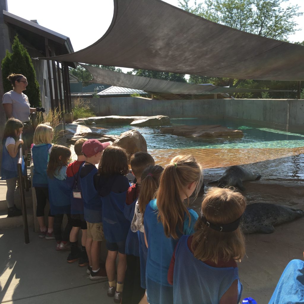 Zoo Camp - Educational Programs - Henry Vilas Zoo