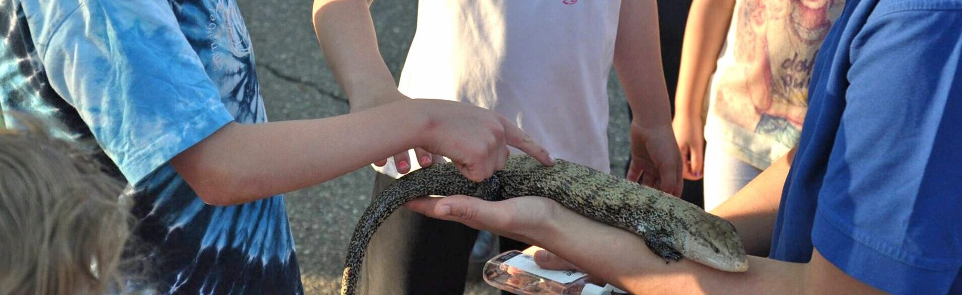 Critter Connections - Community Education - Henry Vilas Zoo