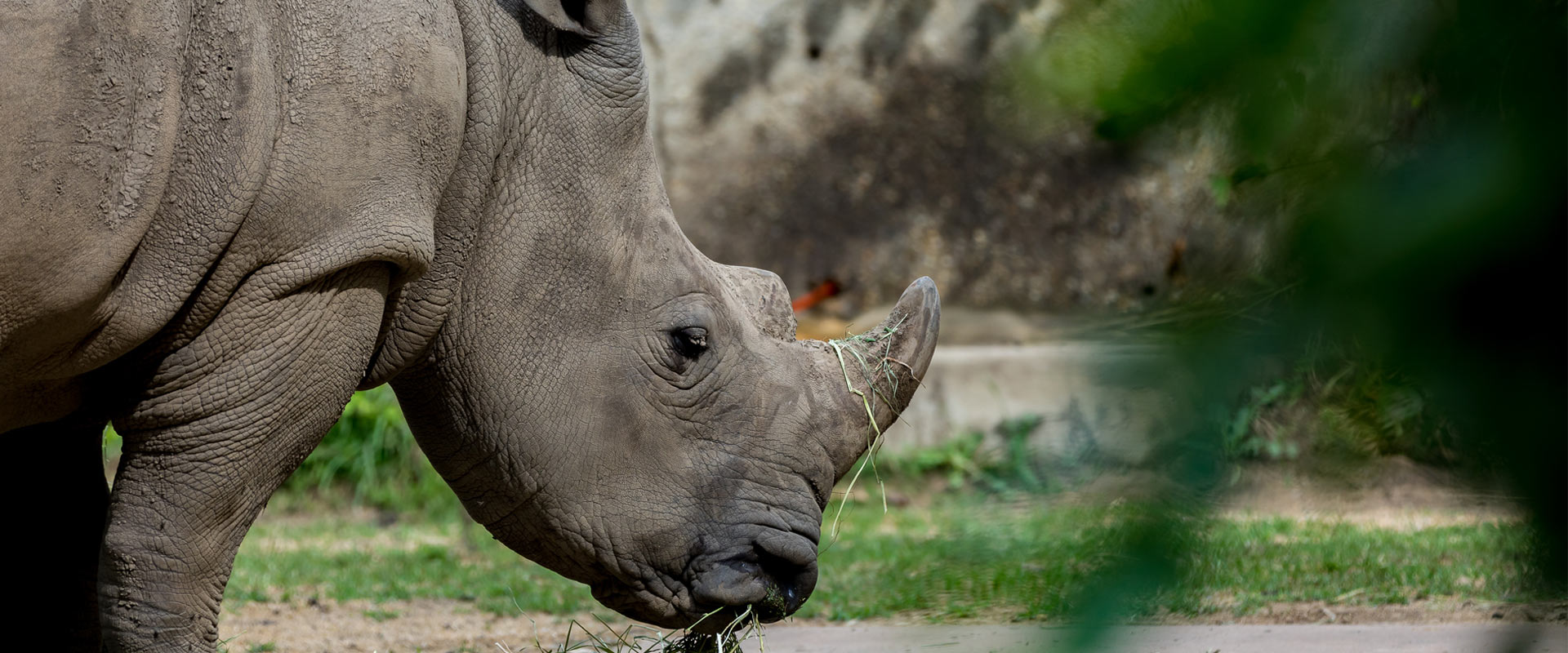 Henry Vilas Zoo