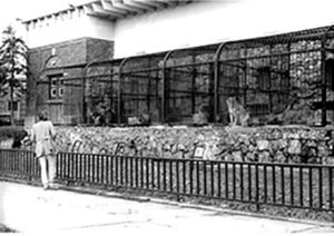 Our History - About Us - Henry Vilas Zoo