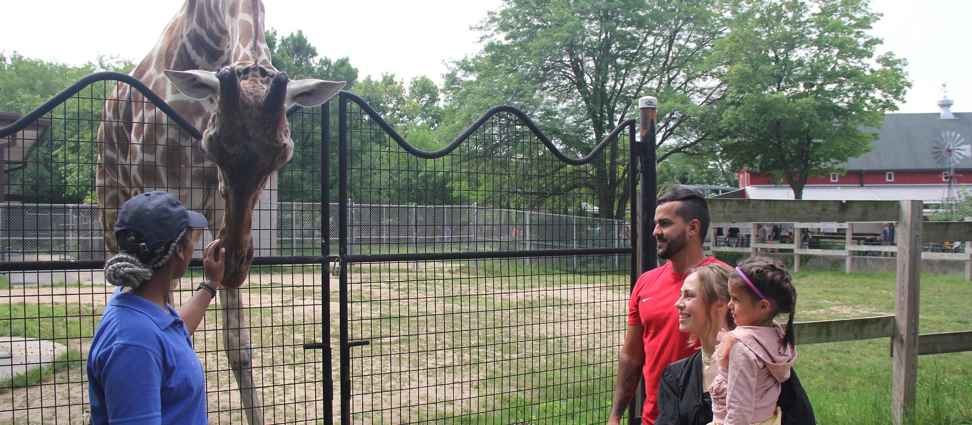 Behind the Scenes Tours Henry Vilas Zoo DEV