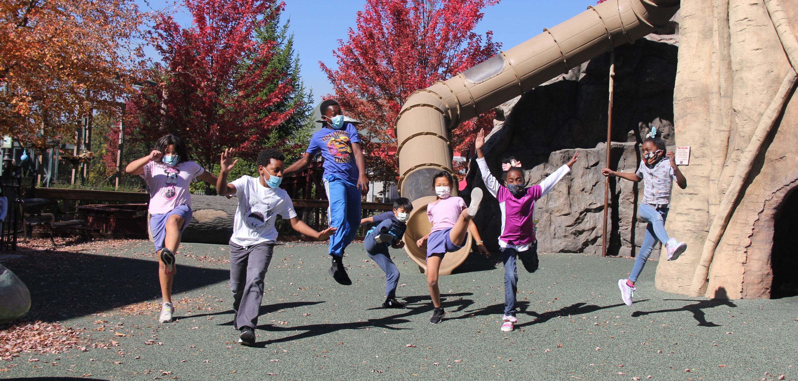 Henry Vilas Zoo Awarded Top Education Honor Henry Vilas Zoo