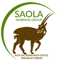 SAOLA Working Group Logo