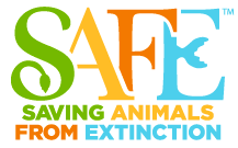 SAFE logo