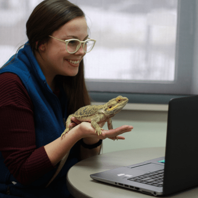 A zoo employee holds a bearded dragon up to a web camera