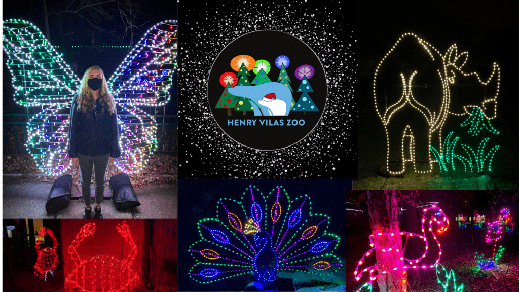 zoo lights 2023