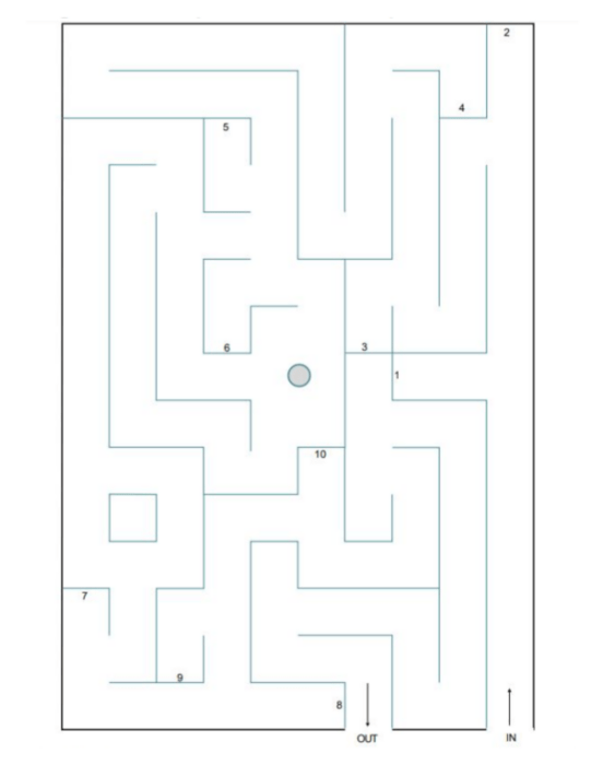 calgary zoo map 2024
