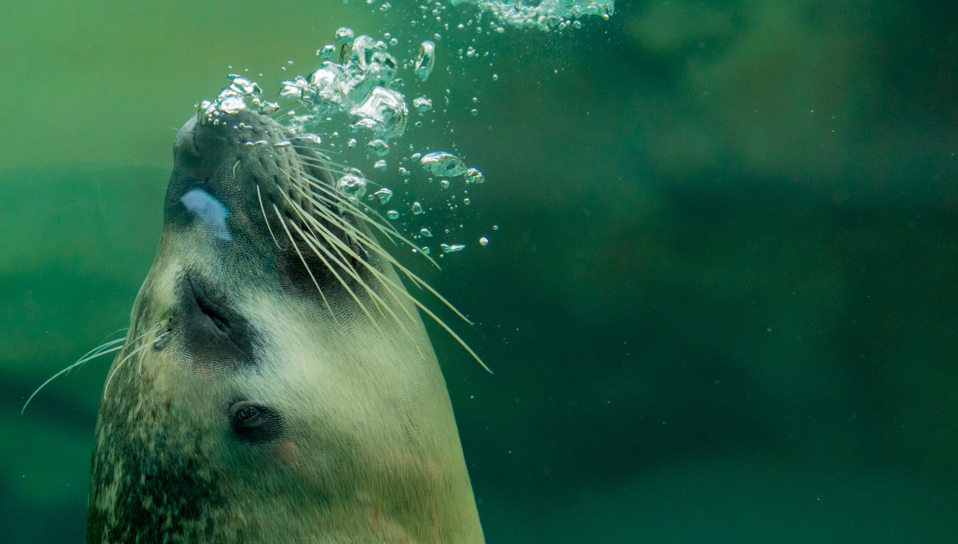 Zoo Education - Community & Youth Programs - Henry Vilas Zoo