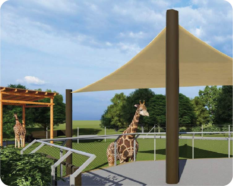 glp-preview-giraffe feeding-platform