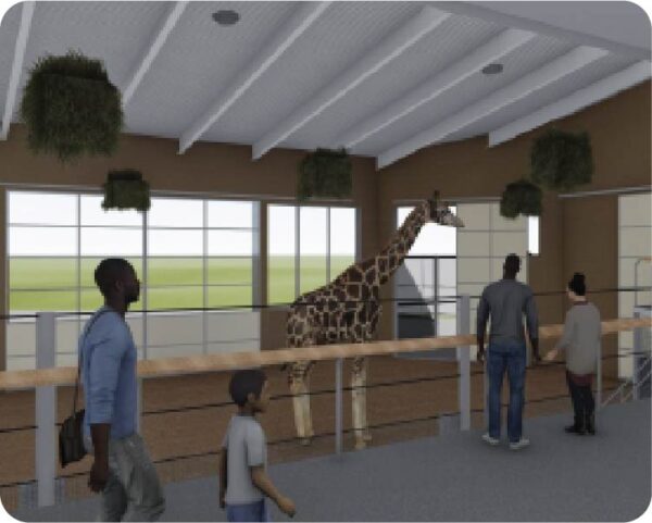 Edge of Africa: Giraffe - Henry Vilas Zoo